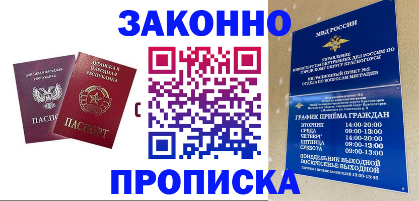 прописка в Курске